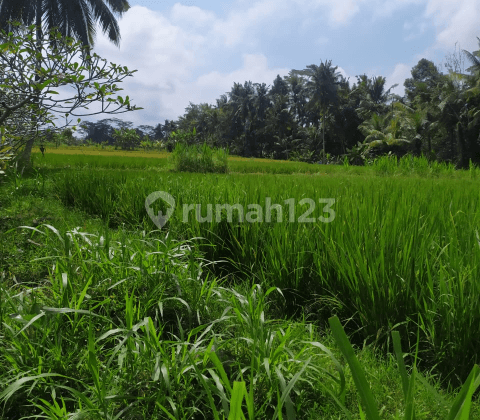 Tanah murah view keren cocok villa siap bangun 1