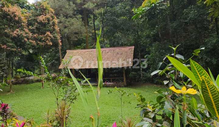 Tanah Lahan Murah Siap Bangun Dengan Luas 8.000m di Sukaharja Cijeruk Bogor