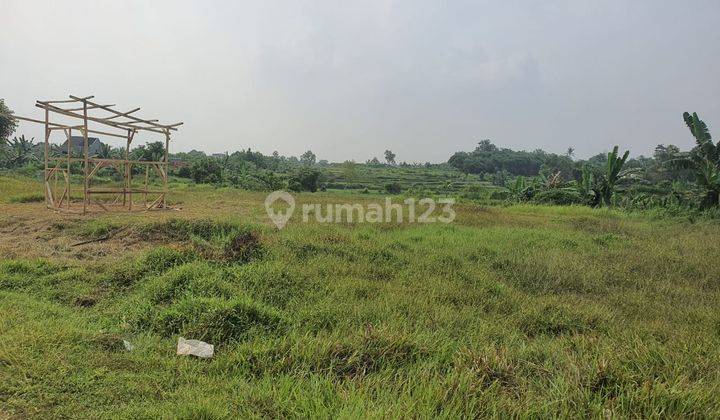 Tanah di Parung Panjang, Bogor 1