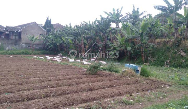 TANAH KAVLING VIEW BAGUS DI KOMPLEK SETIABUDI REGENCY, SETIABUDI, BANDUNG UTARA, KOTA BANDUNG 2