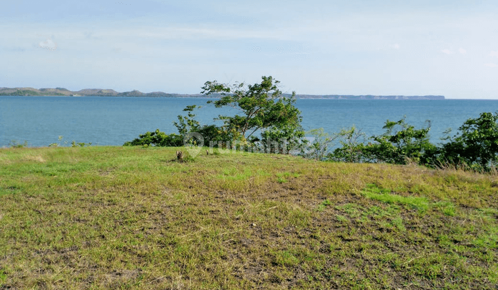 BEACH FRONT SAUNG LOMBOK 1