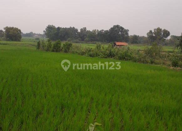 Cibarusah Cikarang Tanah untuk Perumahan, murah 2