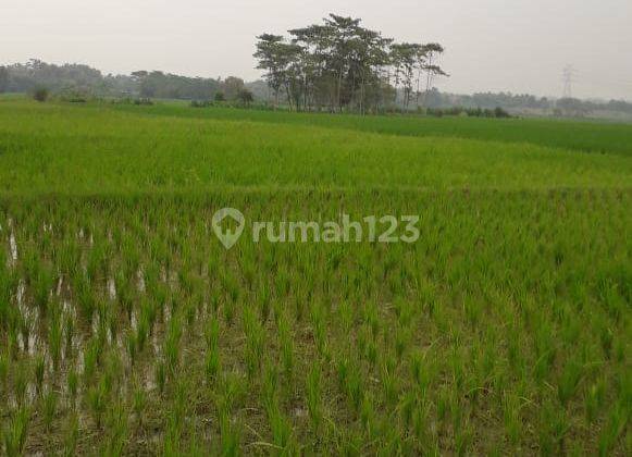 Cibarusah Cikarang Tanah untuk Perumahan, murah 1