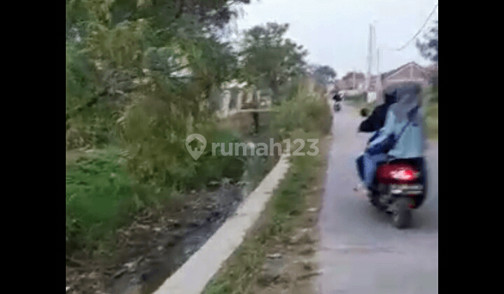 Tanah Murah Sawah Rancaekek! Pinggir Jalan Desa Ramai! SHM! 2