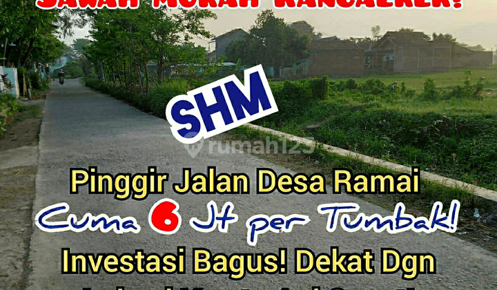 Tanah Murah Sawah Rancaekek! Pinggir Jalan Desa Ramai! SHM! 1