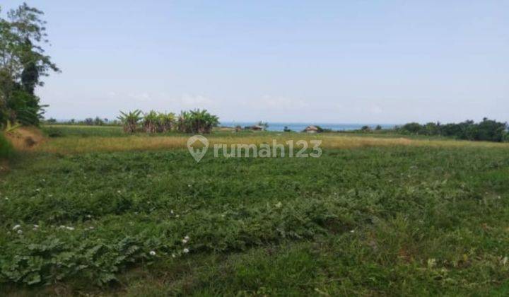 RARE! PLOT KEDUNGU TANAH LOT TABANAN BEACH SIDE FULL SEA VIEW FOREVER 1