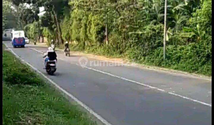 TANAH KOMERSIAL MURAH LOKASI BAGUS SERANG BANTEN 2