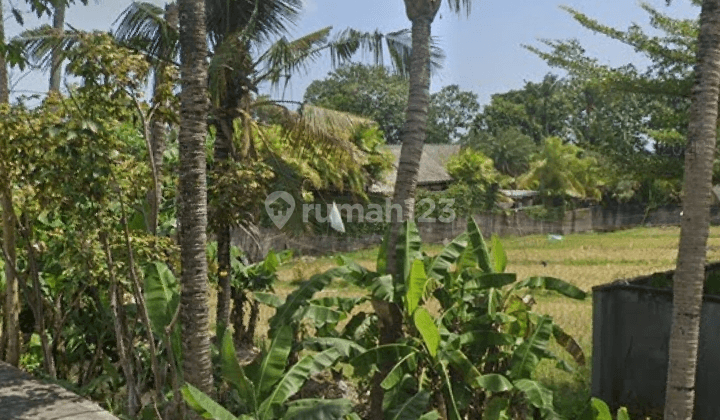 Tanah lingkungan villa cantik di canggu siap bangun 1