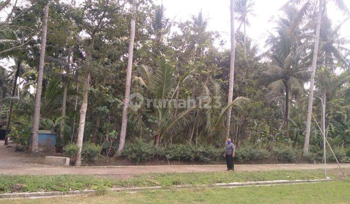 Tanah Luas Shm Dekat Bandara Kulon Progo Area Pedesaan 2