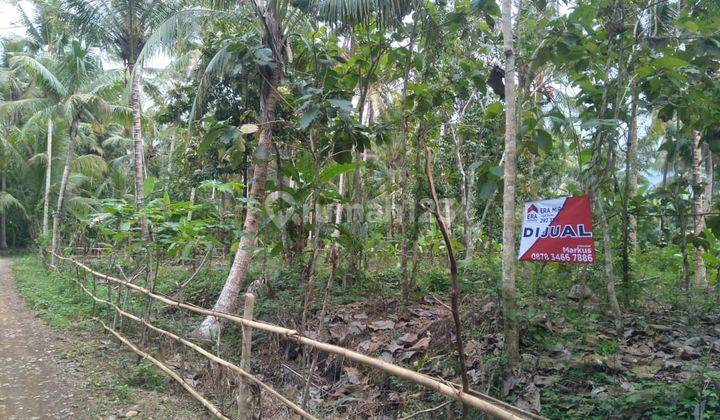 Tanah Shm Pekarangan Dekat Bandara Dan Wisata Pantai Kulon Progo 2