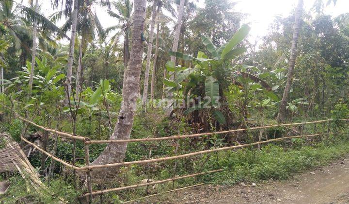 Tanah Shm Pekarangan Dekat Bandara Dan Wisata Pantai Kulon Progo 1