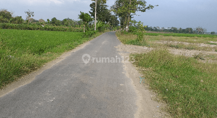 Tanah Darat Siap Bangun Di Waru Reja, Tegal Jawa Tengah 1