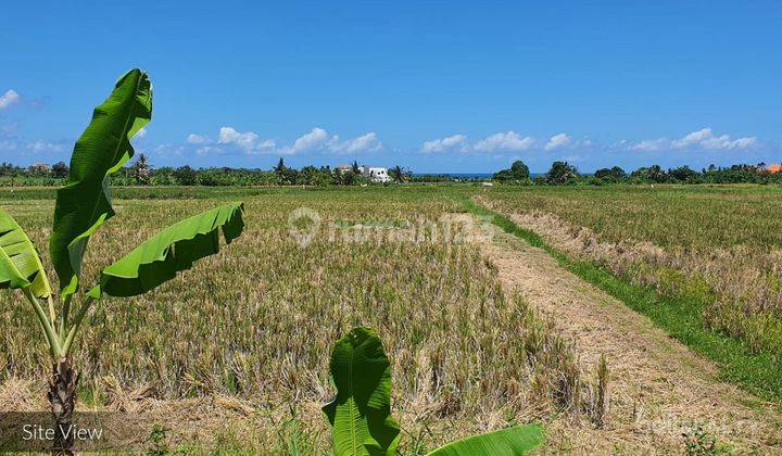 Large Superb Freehold Land Opportunity - 900mtr To The Beach - Tabanan - 2009L 1