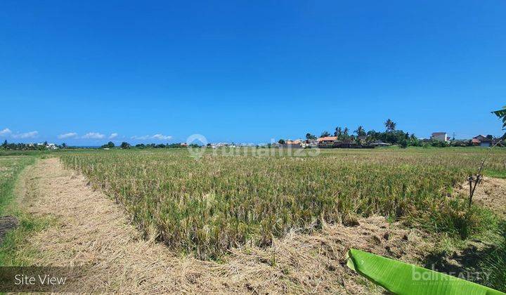 Large Superb Freehold Land Opportunity - 900mtr To The Beach - Tabanan - 2009L 2