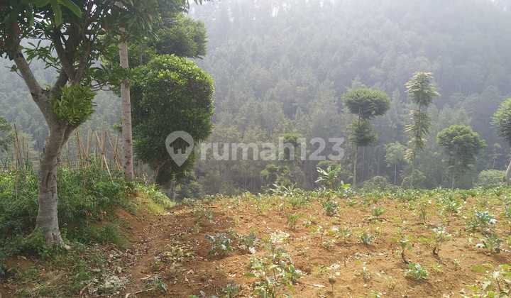 Tanah Siap Bangun Dago Ciburial Tanah Siap Bangun Dago Ciburial