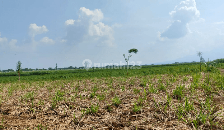 Kawasan Industri murah di purwodadi, Grobogan 2