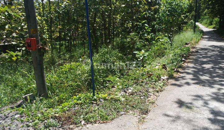 Tanah Kavling Murah Dekat Pondok Pesantren Haromain Sentolo Kulonprogo Jogja 2