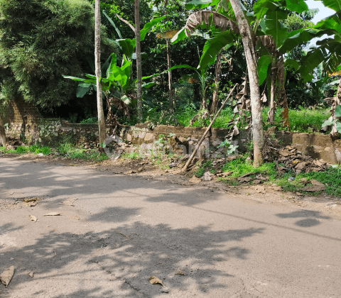 Tanah Lokasi Bagus Cigombong Bogor Jawa Barat 2