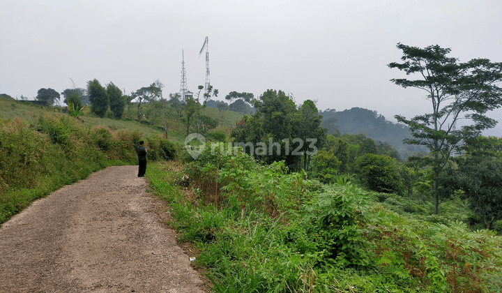 tanah dihambalang dekat wisata Fathan 1