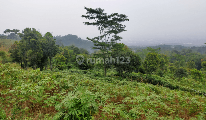 tanah dihambalang dekat wisata Fathan 2