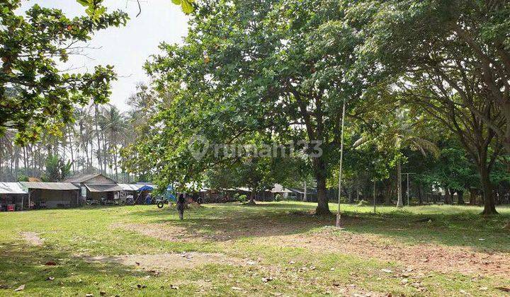 SM Property Tanah Jalan Raya Anyer Serang Banten 2