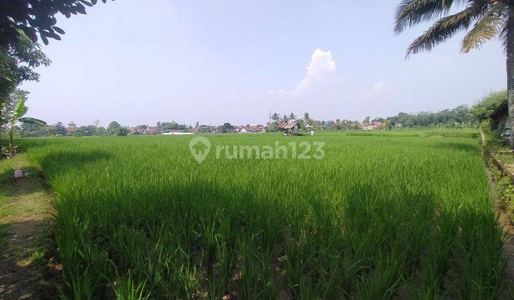 Cepat! Tanah Sawah Luas Lokasi Strategis Dekat Pusat Kota, Jl. Raya Bandung - Cianjur