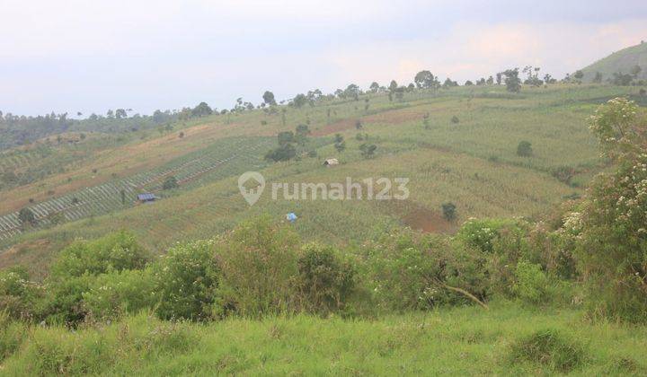 Dijual Segera Lahan 60 Ha Harga murah di Raya Cijapati Garut  1