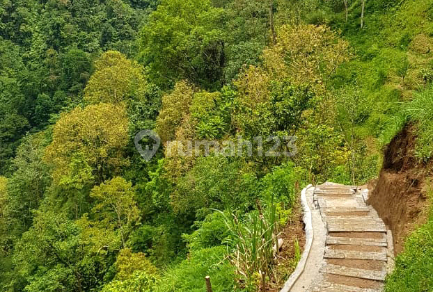TANAH MURAH UBUD DEKAT HANGING GARDEN - PADMA UBUD