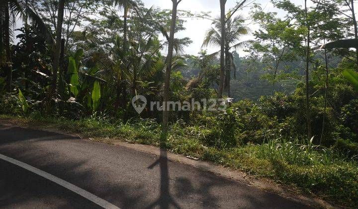 TANAH UBUD FULL VIEW LEMBAH &amp; SUNGAI DI KENDERAN TEGALALANG UBUD 1