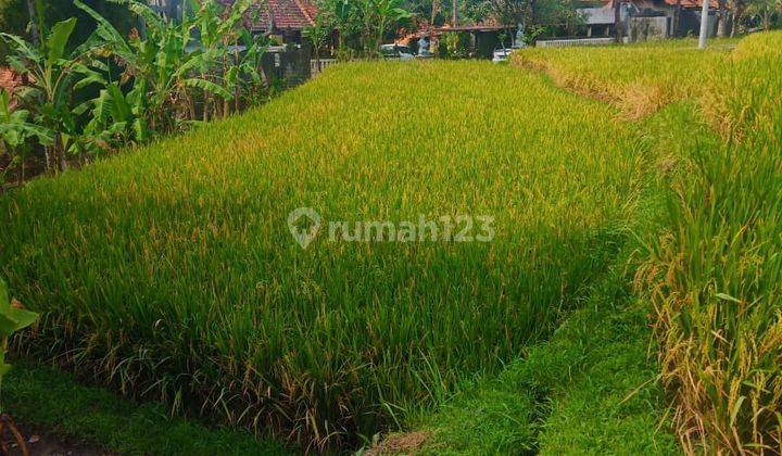 TANAH AREA KENGETAN SINGAKERTA UBUD WITH RIVER VIEW 1