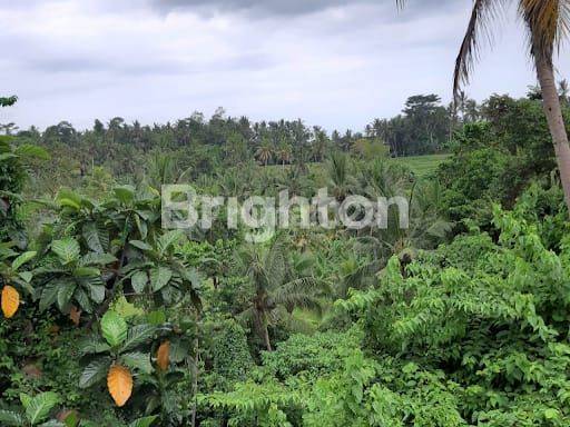 TANAH MAS UBUD VIEW SAWAH &amp; SUNGAI 1