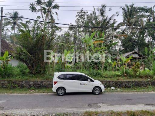 TANAH PREMIUM DEPAN PADMA RESORT PAYANGAN UBUD 2