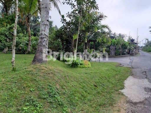 TANAH PREMIUM DEPAN PADMA RESORT PAYANGAN UBUD 1