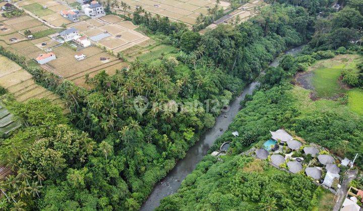 TANAH CANTIK FULL RIVER &amp; VALLEY VIEW SEBELAH THE WESTIN RESORT UBUD 1