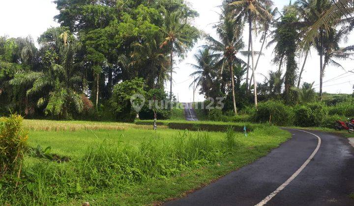 LAND IN SOUTH UBUD SINGAKERTA WITH RIVER AND RICEFIELD VIEWS 1