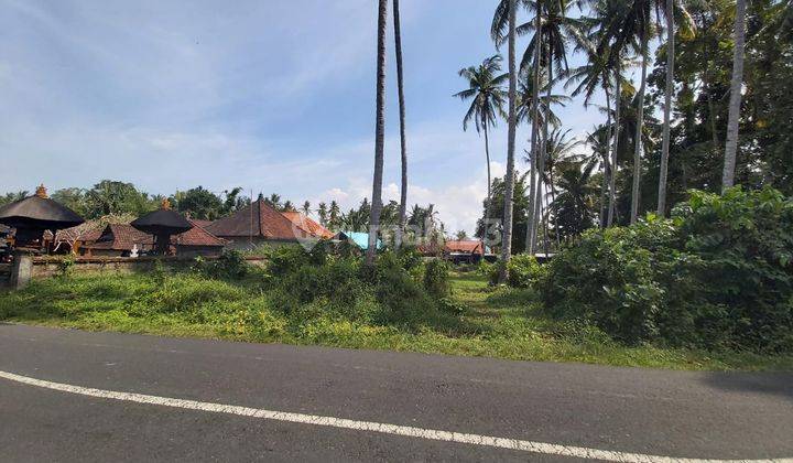 LANGKA! TANAH FULL RICEFIELD VIEW JL UTAMA SINGAPADU UBUD 1