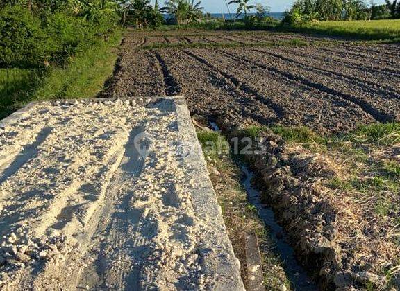 TANAH KETEWEL DEKAT SANUR DAN DYATMIKA SCHOOL FULL OCEAN VIEW 1