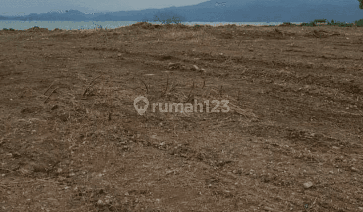 Pinggir Laut Sebrang Gudang Garam Panjang 2