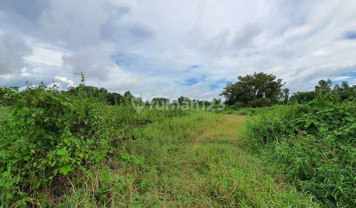 Tanah untuk perumahan 2