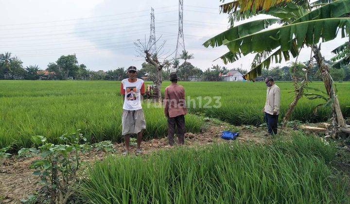 Dijual Tanah Murah Strategis Siap Bangun Sukatenang Di Babelan 2