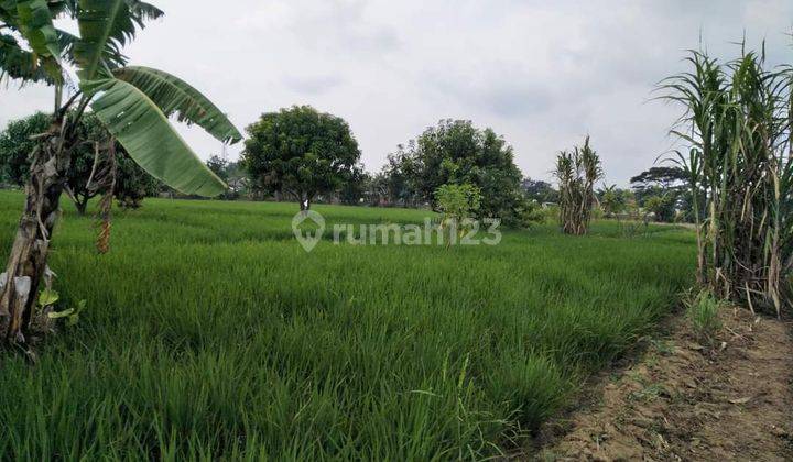 Dijual Tanah Murah Strategis Siap Bangun Sukatenang Di Babelan 2