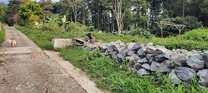 tanah kebun di bogor gunung salak 1