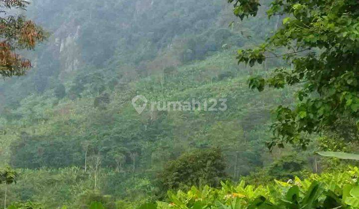 Tanah 212 Ha Cocok Untuk Perkebunan di Kaki Bukit Cariu Tanjungsari 1