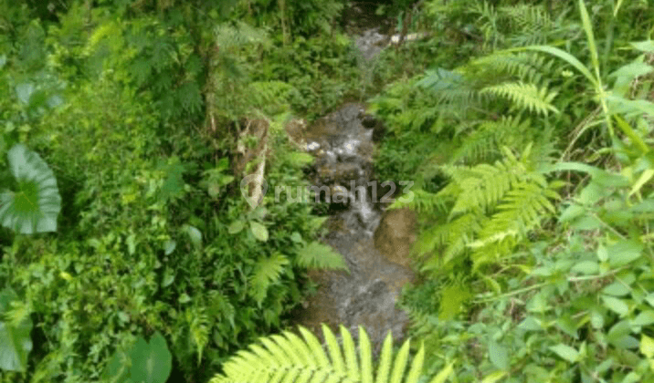 Tanah cocok villa dengan view jungle sungai lembah 1