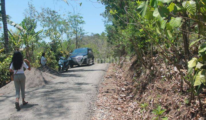 Di Jual Disewakan Tanah Murah di Jembrana Negara, Bali 1