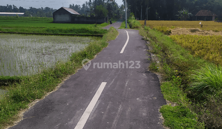 Tanah view sawah cantik pinggir jalan aspal 1