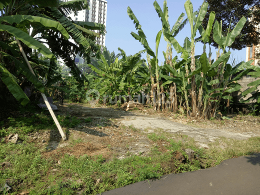 Tanah strategis dkt kampus UI. Cocok utk kos2an atau rumah tinggal Tanah strategis dkt kampus UI. Cocok utk kos2an atau rumah tinggal
