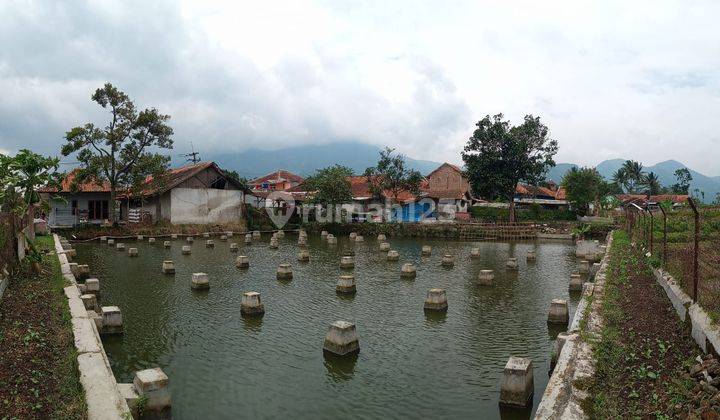 Tanah, Penggilangan Padi dan Balong Ikan Haurkuning Garut Harga nego Sampai Deal 1