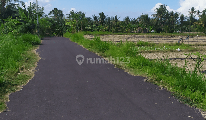 Land suitable for investment and plots in Pering 1