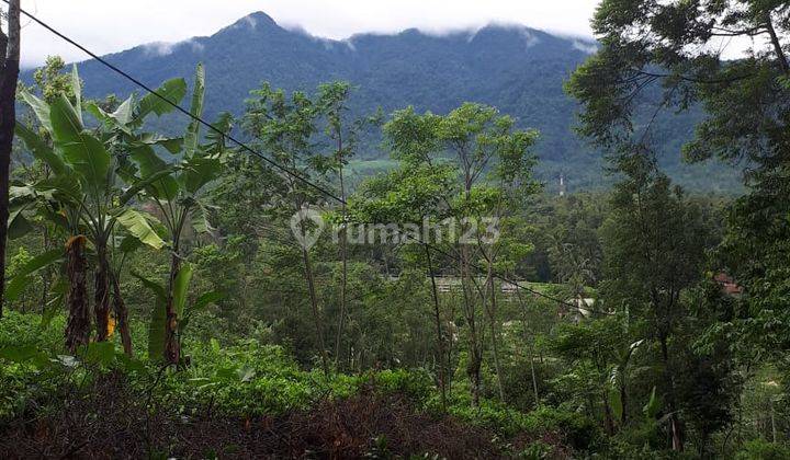 250rb/m2 Investasi 2Ha Bisnis Agrowisata Subang 2